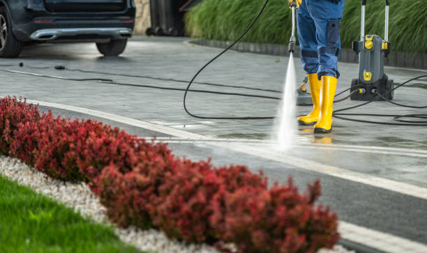 Best Patio and Deck Pressure Washing  in Cedar Hills, OR